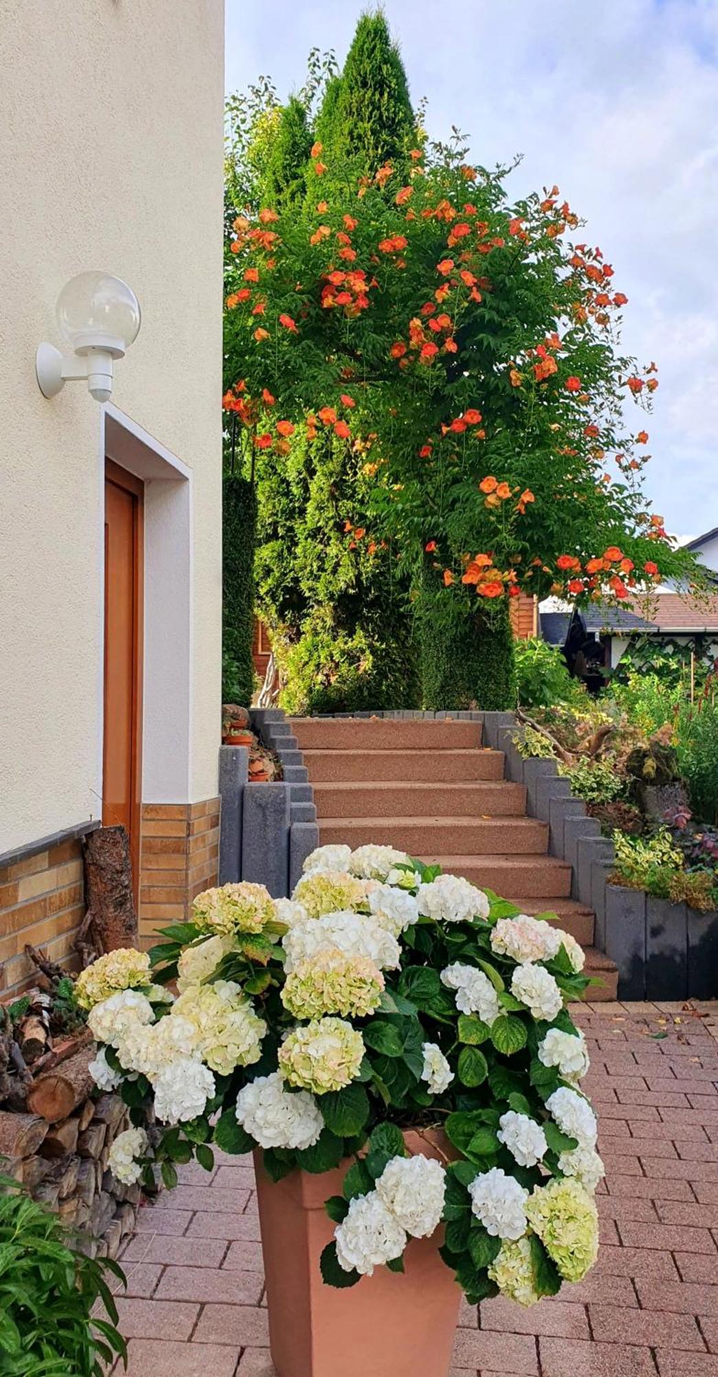 Gaestezimmer Weinberg Steinau an der Straße Exterior photo